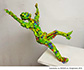 Highslide JS
